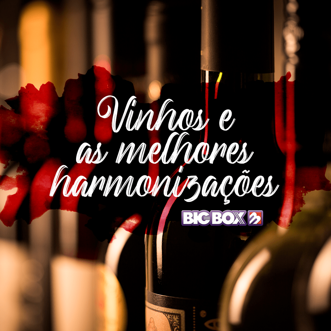 COMO HARMONIZAR OS VINHOS?