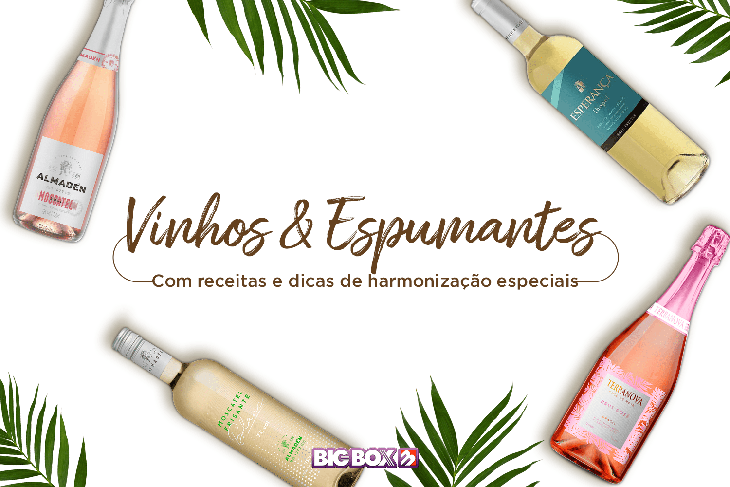 Receitas especiais para harmonizar com seus vinhos e espumantes nesse verão!